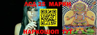 2c-b Сланцы
